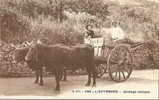 63 - AUVERGNE - OLLIERGUES (?) T.B Carte Animée D'un Attelage Rustique ( G.Plan  état Neuf ) - Olliergues