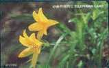 # KOREA O9306108 Hemerocllis Dumortieri 3000 Autelca 06.93 -fleurs,flowers- Tres Bon Etat - Korea (Zuid)