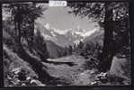 St-Luc ; Paysage : Gabelhorn, Mt Durant, Cervin (2184) - Saint-Luc