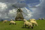 A58-24  @    Windrmill Mill Moulin à Vent   Windmolen  , ( Postal Stationery , Articles Postaux ) - Windmills