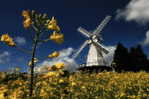 A58-27  @    Windrmill Mill Moulin à Vent   Windmolen  , ( Postal Stationery , Articles Postaux ) - Windmills