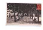 ALGERIE Mostaganem Place De La République, Animée, Ed Idéale PS 16, 1908 - Mostaganem