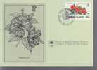 CAIMANES  ISLAND   CARTE PHILATELIQUE  NUM.YVERT   457   FLORE FLEUR - Kaimaninseln