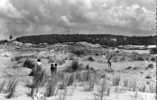 Quend Plage Dunes Et Le Bois Des Pins - Quend