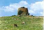 7275 - MACOMER(NUORO) - Nuraghe Succoronis - Nuoro