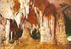 7276 - DORGALI CALAGONONE (NUORO) - Grotta Del Bue Marino - Nuoro