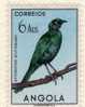 ANGOLA 1951 AVE OISEAU  BIRD 6 Ags  Heteropsar Acuticaudus - Angola