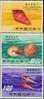 AA0200 Taiwan 1971 Shellfish 3v MNH - Nuevos