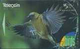 # NEW_ZEALAND NZ24S_1 New Zealand Birds I - Bellbird 5 Gpt 01.95 -oiseaux,birds-tres Bon Etat - Nieuw-Zeeland