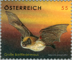 Austria 2007 MiNr. 2651 Österreich Bats  Brandt's Bat 1v  MNH** 2.50 € - Murciélagos