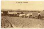 EN MORVAN. - Labourage - Attelages