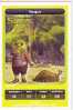 CARTE CARREFOUR DREAMWORKS SHREK FERGUS 15/216 BON ETAT - Andere & Zonder Classificatie