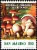 REPUBBLICA DI SAN MARINO - ANNO 1992 - FUNGHI - MOSTRA MICOLOGICA  - NUOVI MNH ** - Ungebraucht