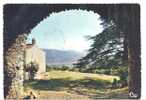 Delcampe - 13 // TRETS -  Vue Pittoresque De Saint Jean Du Puy, CPSM Combier édit 150 X 105 - Trets