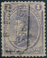 Pays :  43,1 (Argentine)      Yvert Et Tellier N° :     16 (o) / Michel   18 B - Used Stamps