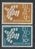 1961 - Olanda ---- - 1961