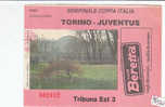 PO0936A - Biglietto PARTITA CALCIO - DERBY - TORINO-JUVENTUS 1993 - Other & Unclassified