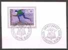 Liechtenstein - Gestempelt / Used (h291) - Hiver 1976: Innsbruck