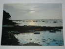 Lot 449 -(achat Direct)               Port Navalo Contre Jour Sur Le Port - Arzon