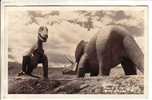 GOOD OLD USA POSTCARD - Rapid City - Dinosaur Park - Mills Photo 912B - Rapid City