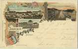 Bastogne :Souvenir   ( Carte  Litho  )  --  ( Ecrit 1901 Avec Timbre  ) - Bastenaken