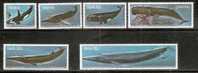SWA - South West Africa 1980 Killer Sperm Whale Marine Mammals Sc 437-42 MNH # 2200 - Whales