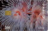 # TAIWAN 903C Anemone 200 Puce?   Tres Bon Etat - Taiwan (Formose)