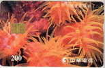 # TAIWAN 902C Anemone 200 Puce?   Tres Bon Etat - Taiwan (Formosa)