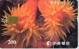 # TAIWAN 901C Anemone 200 Puce?   Tres Bon Etat - Taiwan (Formosa)