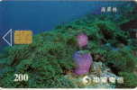 # TAIWAN 813C Sea Plants 200 Puce?   Tres Bon Etat - Taiwan (Formose)
