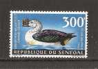 Sénégal:  PA 66 **  Canard Casqué - Eenden