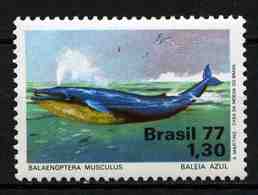 Brazil 1977 MiNr. 1597 Brasilien Whale Marine Life 1v  MNH** 6,00 € - Ballenas