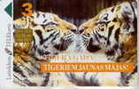 # LATVIA D8 Tigeragada 3lati Gpt 02.98 50000ex -animal,tigre,tiger- Tres Bon Etat - Letonia