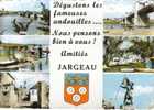 CPSM JARGEAU (Loiret) - 6 Vues:monument, Plage, Camping... - Jargeau