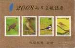 Color Gold Foil Taiwan 2008 Birds Series Stamps (III) Bird Resident Sparrow Magpie Fauna Unusual - Unused Stamps