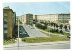 Grande-Synthe (59) : La Nouvelle Cité Avenue Du Générale De Gazulle Env 1960 (animée). - Grande Synthe