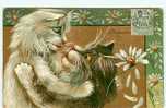 Animaux - Chats - Chat - Cats - Cat - Illustrateur Maurice Boulanger - Fleurs - Marguerite - Passionnément - état - Katzen