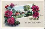 57 : Un Bonjour De SARREBOURG , Village , Roses , Fleurs - Sarrebourg