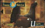 FAUNA IBERICA - BIRD - UROGALLO - SPAIN - 250.000EX. - Privatausgaben