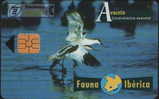 FAUNA IBERICA - BIRD - AVOCETA - SPAIN - 250.000EX. - Basisausgaben