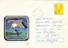 ENTIER POSTAUX STATIONERY COVER  BIRDS,PELICANS 1971 ,ROMANIA Cod.614/71. - Pelícanos