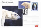 Ours Polaire /Manchot Empereur. Entier,FDC – Polar Bear, Emperor Penguin Stationery Postcard, Polar Year 2007 Pingouin - Bären