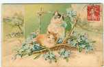 Animaux - Chats - Chat - Cats - Cat - Carte Gaufrée - Fleurs - état - Katzen