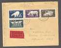 Germany DDR EILBOTE Expreés Label 1956 Bahnpost Cover Tiergarten Zoo Polar Bear Rhino Bison Flamingo Flamant - Lettres & Documents