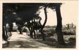 CPA 13 - ISTRES - Route De Saint Chamas. - Istres