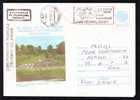 1986 DAY METEOROLOGY,rare POSTMARK,STATIONERY COVER ENTIER POSTAUX,code;231/84 - Clima & Meteorología