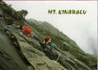 Climbers On Rockface. Mont Kinabalu. Ile De Borneo. 4095 M .   CP Neuve - Malesia