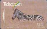 # NEW_ZEALAND NZ8S_1 1991 Animals Issue - Zebra 5 Gpt 01.91  Tres Bon Etat - Nieuw-Zeeland