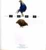 Folio Taiwan 1993 Bird - Mikado Pheasant Stamps Egg Hatch Fauna Brood - Nuovi