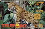 # PERU 17 Jaguar 10 Gem -animal-  Tres Bon Etat - Perù